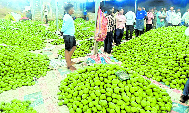 కృష్ణాజిల్లా4