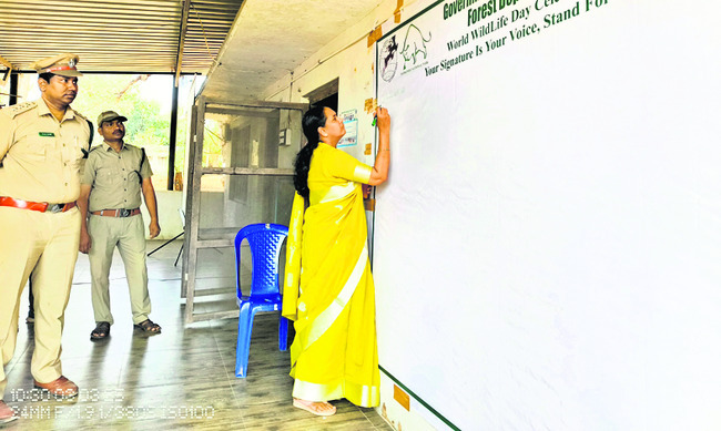 వన్యప్రాణుల సంరక్షణ ఎంతో అవసరం 
1