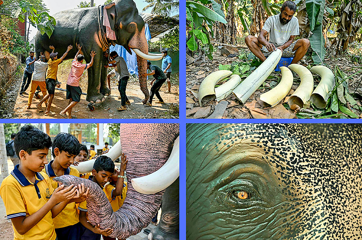 Robot elephants is pictured at a workshop in Thrissur in Kerala18