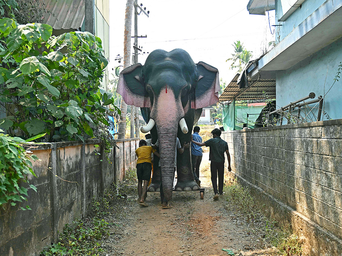 Robot elephants is pictured at a workshop in Thrissur in Kerala2