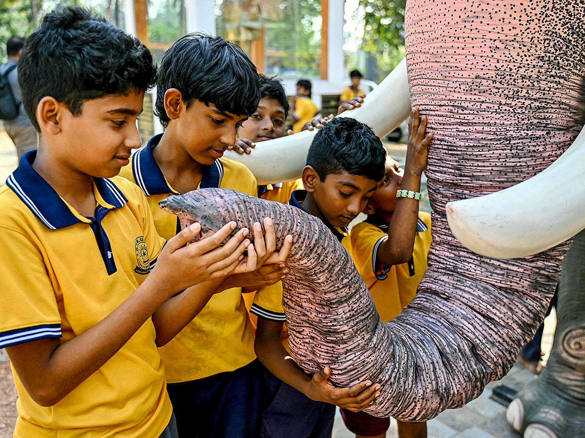 Robot elephants is pictured at a workshop in Thrissur in Kerala3