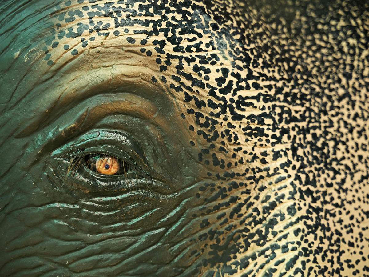 Robot elephants is pictured at a workshop in Thrissur in Kerala6