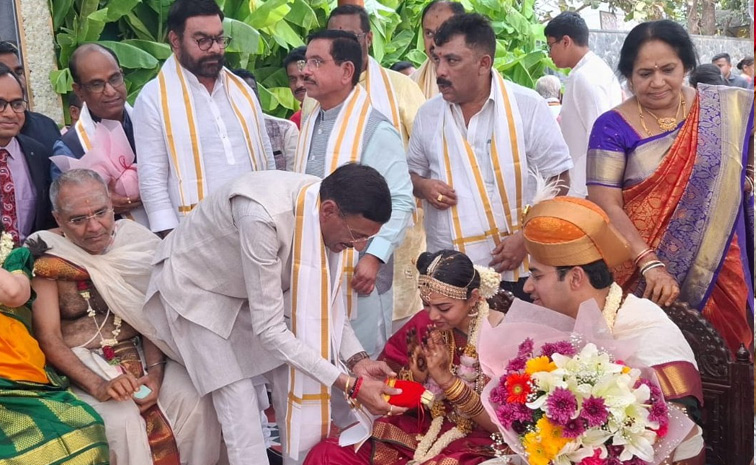 BJP MP Tejasvi Surya marries Bharatanatyam artist Sivasri Skandaprasad Photos10