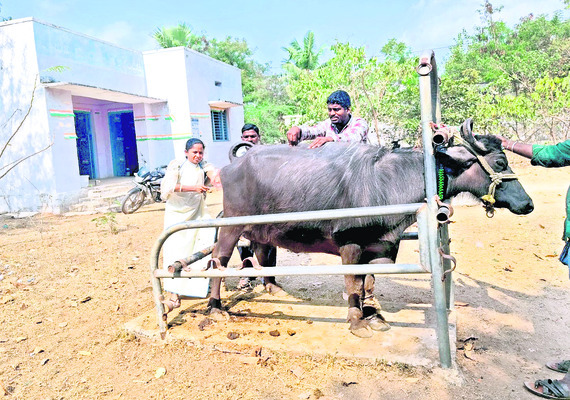 వివక్ష తగ్గినా వేధింపులున్నాయి..5