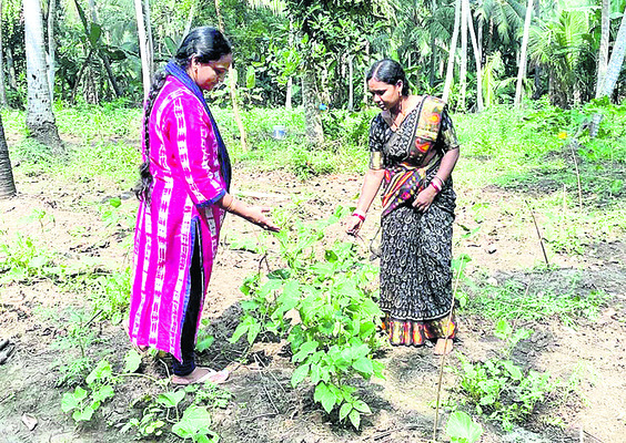 కృషితో నాస్తి దుర్భిక్షం2