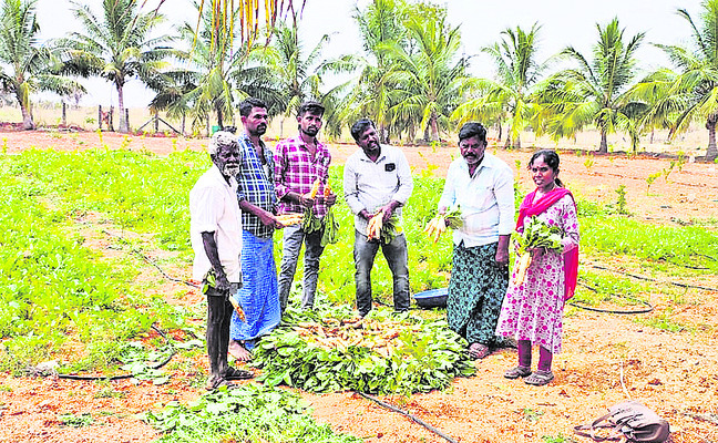 ఖర్చులు నిల్‌.. లాభాలు ఫుల్‌ 1