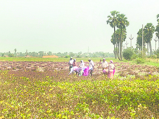 కృష్ణాజిల్లా9