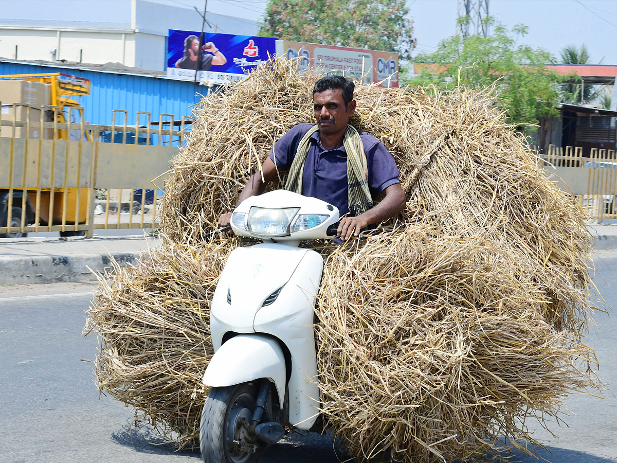 Best Photos of The Week in AP and Telangana Photo Gallery12