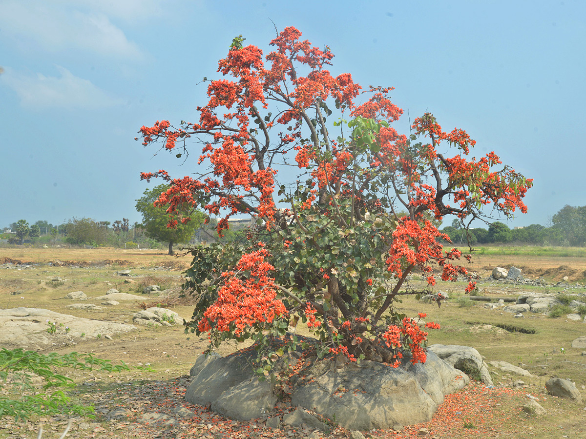 Best Photos of The Week in AP and Telangana Photo Gallery7