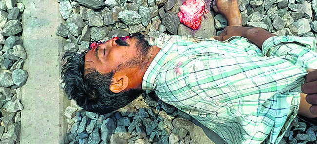 నిప్పు రాజుకుని మామిడిచెట్లు దగ్ధం 2