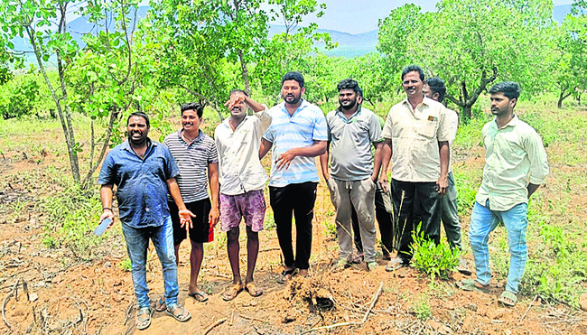 ప్రభుత్వ భూమి కబ్జా 2