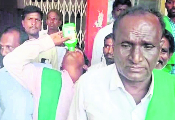 ధర పతనం.. దిగుబడి అధికం 2