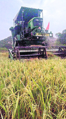 వణికిస్తున్న వరుణుడు3