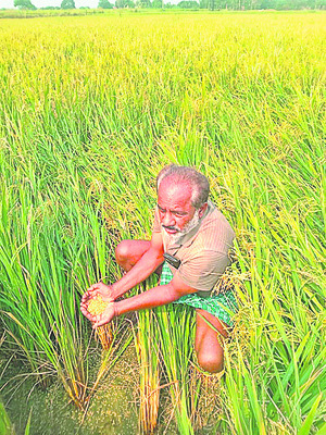శుక్రవారం శ్రీ 11 శ్రీ ఏప్రిల్ శ్రీ 20252