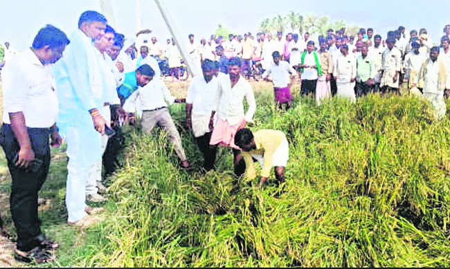 ఉత్సాహంగా క్రికెట్ పోటీలు3
