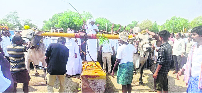 హోరాహోరీగా రాతిదూలం లాగుడు పోటీలు
1
