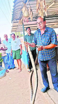 అదుపుతప్పి గుడ్లలారీ బోల్తా 2