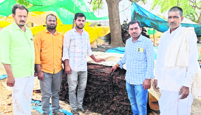 పొగాకు రైతుల్లో టెన్షన్1