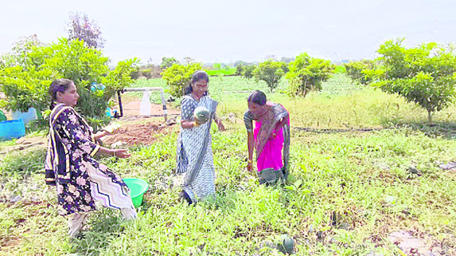 ప్రశాంతంగా ముగిసిన చిన్న జయంతి5