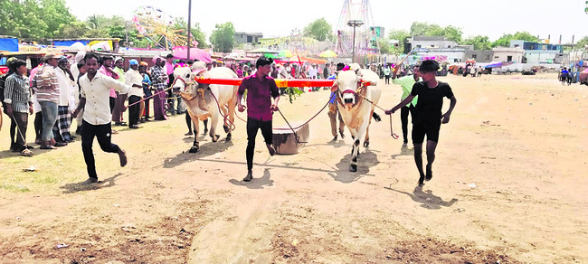 ●రసవత్తరంగా సాగిన బండలాగుడు పోటీలు 1
