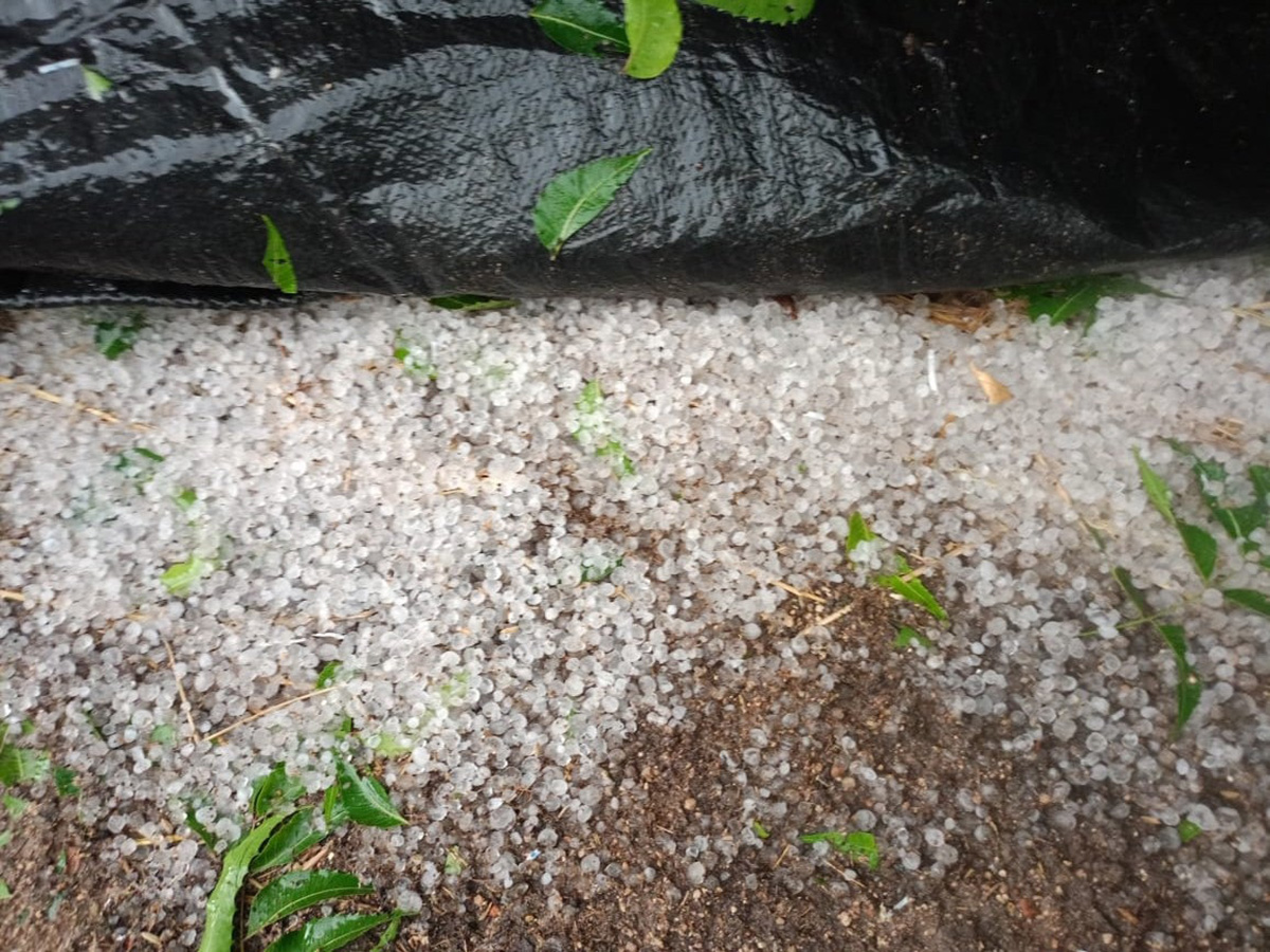Hailstorm with strong winds wreaks havoc in Telugu states12
