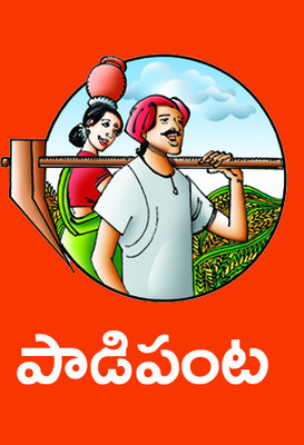 జాగ్రత్తలు పాటిస్తే అధిక దిగుబడులు1