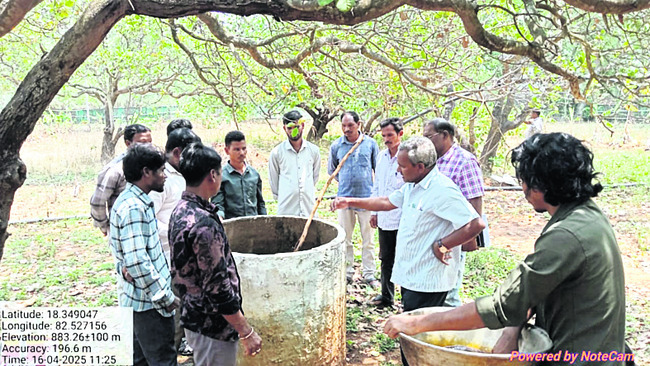 సేంద్రియ వ్యవసాయంపై ప్రత్యేక దృష్టి 1