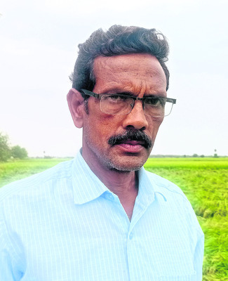 ఈదురు గాలులకు నేలవాలిన వరి, మొక్కజొన్న
1