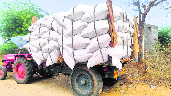 ధర లేక.. దిక్కుతోచక! 1