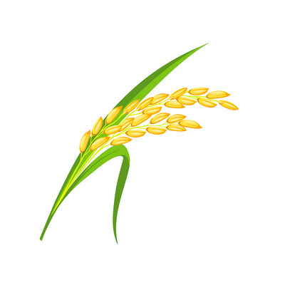 ధర లేక.. దిక్కుతోచక! 3