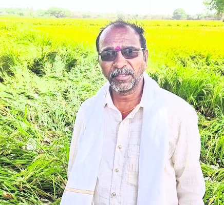 పెరిగిన వరికోత యంత్రాల కిరాయి2