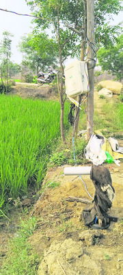 వట్టిపోతున్న బోర్లు.. ఎండుతున్న పంటలు1