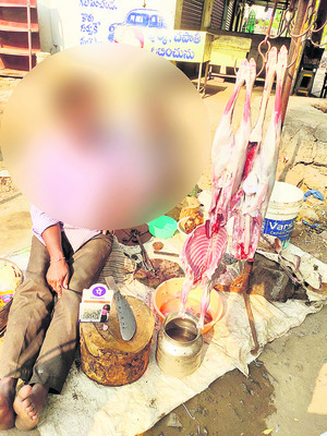 జనావాసాల్లో స్లాటర్ హౌస్లు1