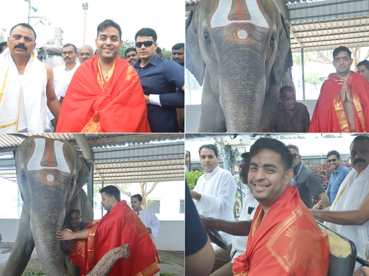 Akash Ambani offered prayers at Tirupati Balaji Temple and visited Goshala in Tirumala Photos1