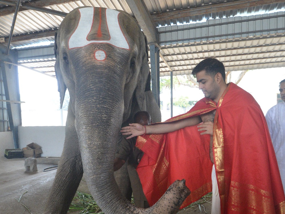 Akash Ambani offered prayers at Tirupati Balaji Temple and visited Goshala in Tirumala Photos10