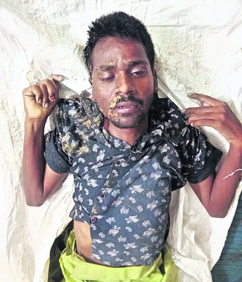 కొబ్బరిచెట్టుపై పిడుగు 1
