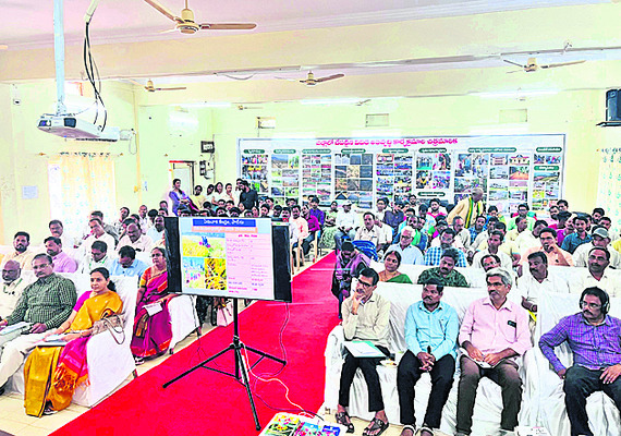 ఆధునిక సాగు పద్ధతులతో అధిక దిగుబడులు 1