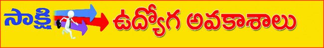 గ్రామాల అభివృద్ధికి ప్రత్యేక చర్యలు 1