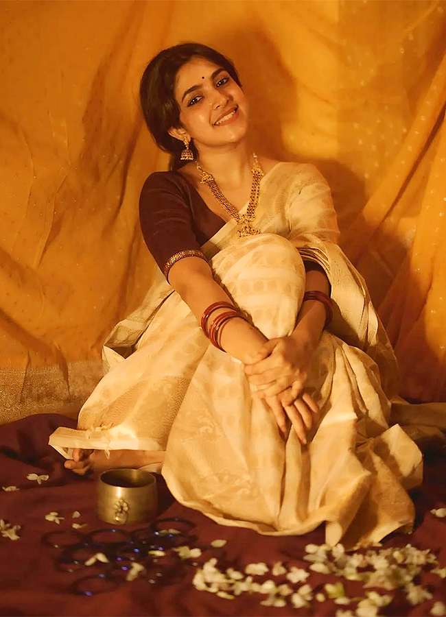 malayalam actress meenakshi dinesh latest photos6