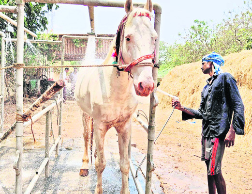 వారెవ్వా.. షవర్ బాత్3