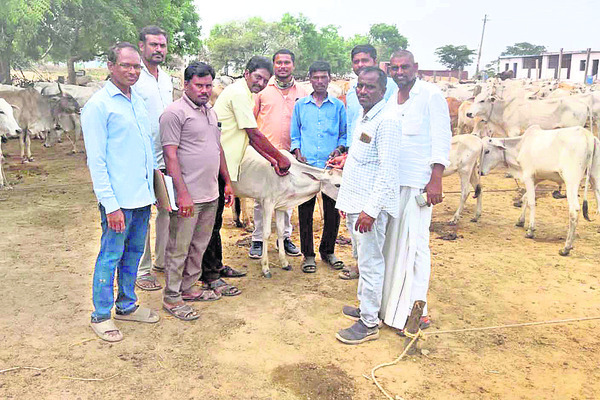 నిర్మల్1