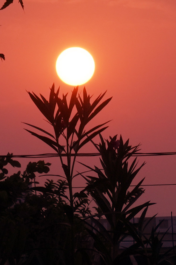 Best Photos of The Week in AP and Telangana Photo Gallery23