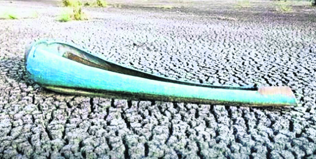 కొల్లేరు అతిథి పక్షుల తిరోగమనం 1