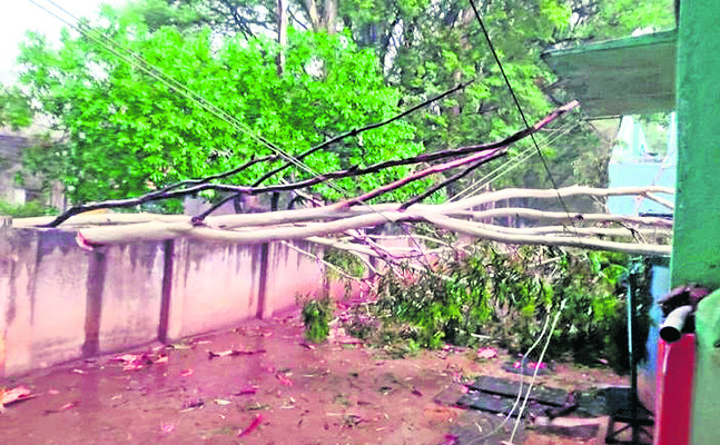 క్వింటా చింతపండు రూ.19 వేలు1