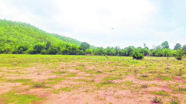 అక్రమాలకు పట్టా!1