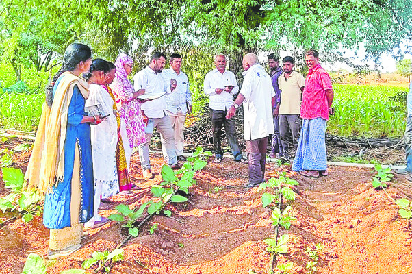 పైలెట్పై గంపెడాశలు! 1