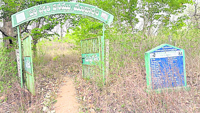 ప్రజల ఆహ్లాదం కోసం గ్రామాల్లో ఏర్పాటు చేసిన పల్లె ప్రకృ4