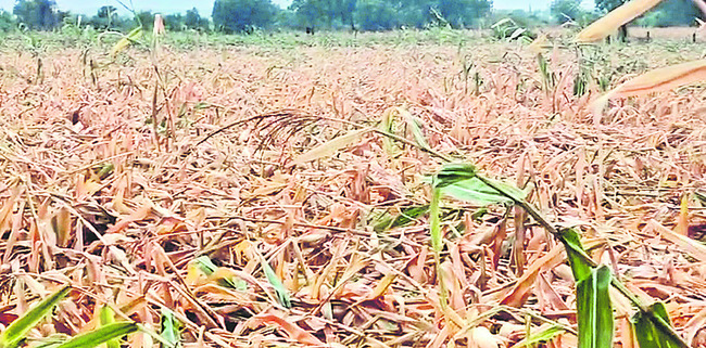 వేసవిలో చలచల్లగా..3