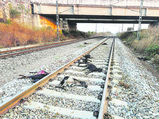 పిడుగుపాటుకు రైతు అస్వస్థత
1
