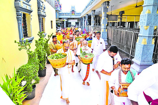 విజయవాడ సిటీ7